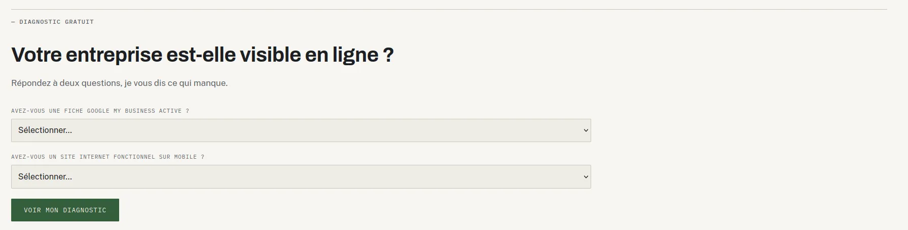 Le formulaire de diagnostic du site ELYTAYMASS